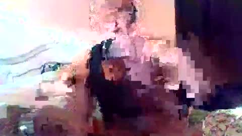 Ale online show from December 2025 05:37:01 AM