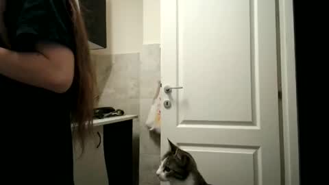 Snapshot of pieceofmoon chatting on December 2025 08:35:01 PM Moonie online show from December 2025 08:35:01 PM