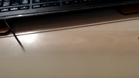 Snapshot of pier49x chatting on February 2025 03:35:02 AM pier49x online show from February 2025 03:35:02 AM