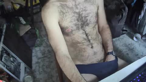 Snapshot of pigs_in_space chatting on January 2026 02:19:01 PM pigs_in_space online show from January 2026 02:19:01 PM