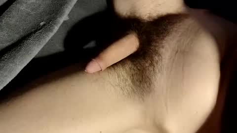 Snapshot of pillowartis chatting on February 2026 04:05:02 AM pillowartis online show from February 2026 04:05:02 AM