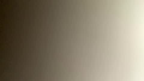 Bee online show from December 2024 10:51:01 PM