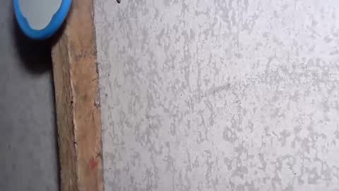 pinay_yummy28 online show from December 2024 08:22:02 PM