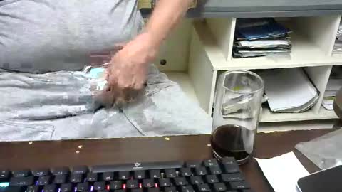 Snapshot of pinheiro86 chatting on November 2025 11:22:01 AM pinheiro86 online show from November 2025 11:22:01 AM