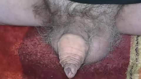 Snapshot of pinholder chatting on January 2025 08:29:01 PM Michael online show from January 2025 08:29:01 PM