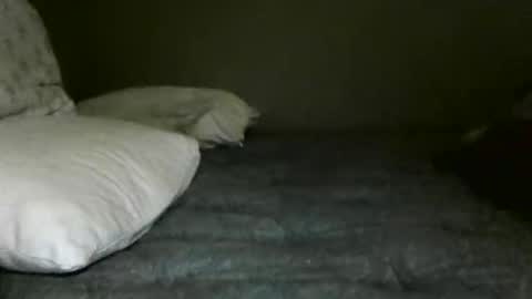 pinkifyme63 online show from May 2026 01:22:01 AM