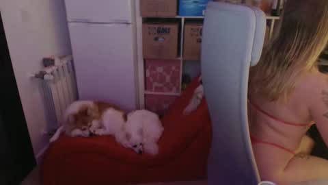 Snapshot of pinkladyx2 chatting on February 2025 06:48:02 PM pinkladyx2 online show from February 2025 06:48:02 PM