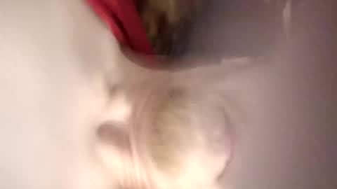 pinkytinky4 online show from December 2025 01:11:01 AM