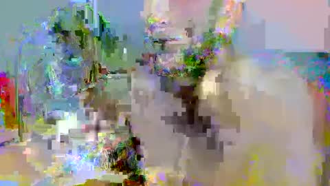 pipe_sexxx online show from October 2025 02:34:02 AM