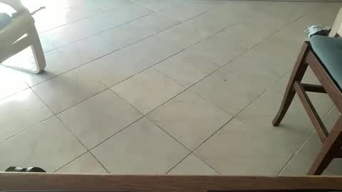 Snapshot of pisellone_xxl chatting on September 2025 01:01:01 PM pisellone_xxl online show from September 2025 01:01:01 PM