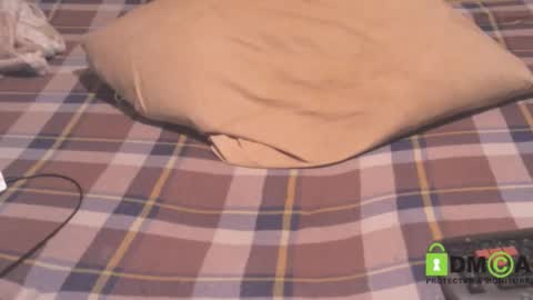 Thomas online show from January 2025 12:27:01 PM