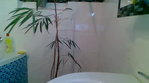 Snapshot of piwo58 chatting on March 2025 06:37:02 PM piwo58 online show from March 2025 06:37:02 PM