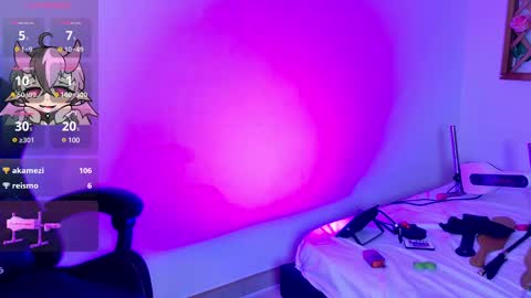 Snapshot of pixygamer11 chatting on February 2025 09:10:01 PM pixygamer11 online show from February 2025 09:10:01 PM