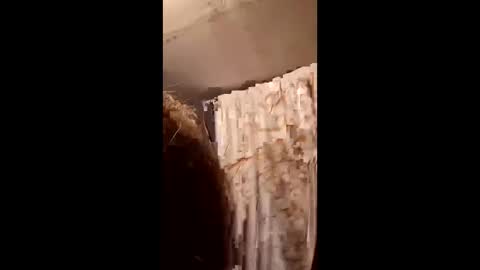 pizzedwife online show from February 2026 07:09:02 PM