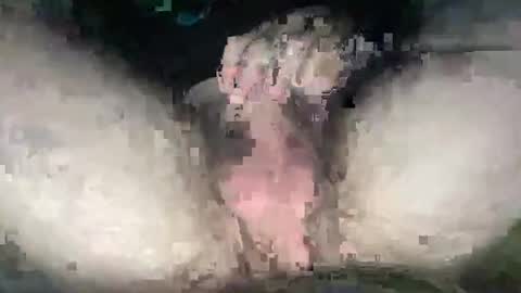 playwitityuh online show from September 2025 04:39:02 AM