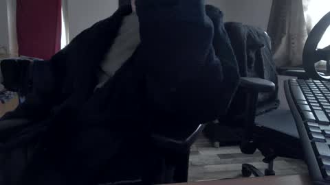 Snapshot of plboy23 chatting on November 2025 09:35:01 AM Hello ask me . Im glad to see you here in my room. Welcome PVT is open online show from November 2025 09:35:01 AM