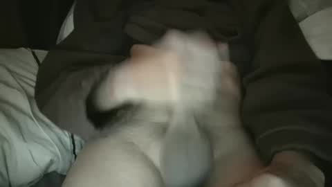 plmokn3005 online show from December 2024 11:33:01 AM