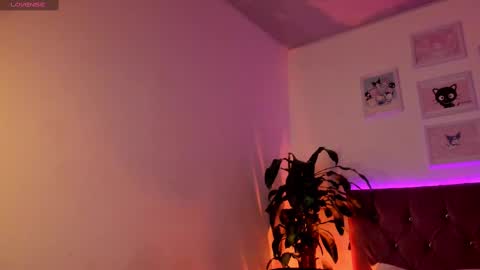Patrocla online show from February 2025 12:03:02 PM
