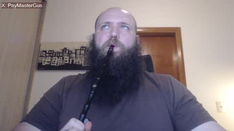 Bear online show from April 2026 12:49:02 AM