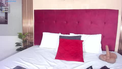 Snapshot of poletlambert chatting on December 2024 07:44:01 PM Polet online show from December 2024 07:44:01 PM