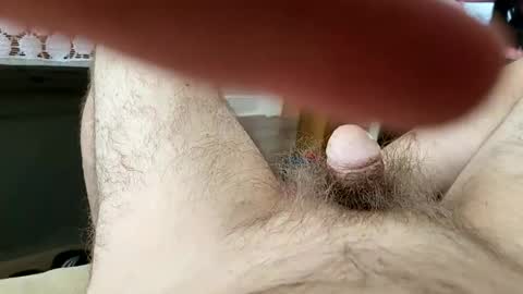 polishx42 online show from August 2026 05:59:02 PM