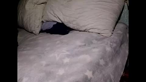 Snapshot of pollachico chatting on November 2025 08:06:02 AM pollachico online show from November 2025 08:06:02 AM