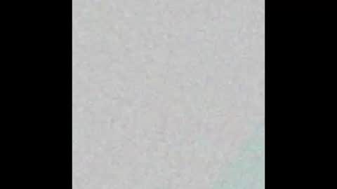 Snapshot of pollardj906 chatting on October 2025 09:51:02 AM pollardj906 online show from October 2025 09:51:02 AM