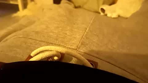 Snapshot of pollontf chatting on March 2026 01:41:02 AM pollontf online show from March 2026 01:41:02 AM