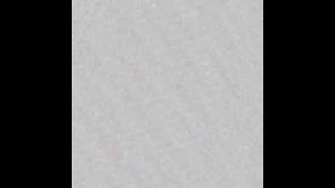 Polly online show from October 2025 07:53:02 AM