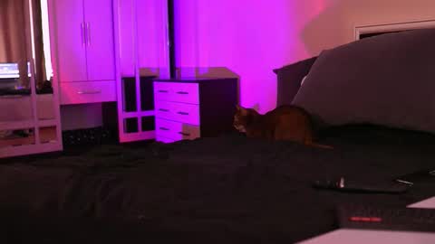 Snapshot of polusladkoye chatting on September 2025 01:02:01 PM Megan.online  online show from September 2025 01:02:01 PM