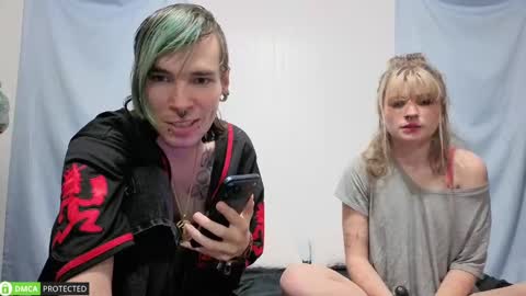 Cheshire  Bee online show from September 2025 02:47:02 AM