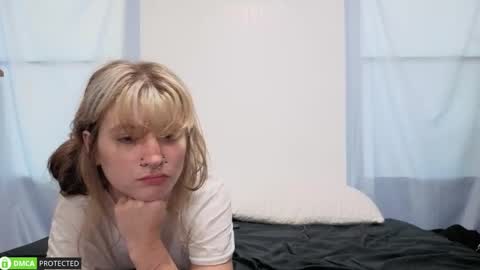 Cheshire  Bee online show from September 2025 06:45:01 PM