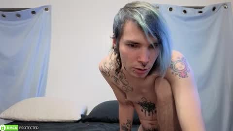 Cheshire  Bee online show from November 2025 08:08:02 AM