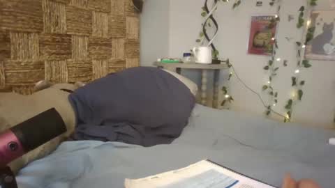 Snapshot of pooncahantits chatting on February 2025 03:31:02 PM Emily at Home online show from February 2025 03:31:02 PM