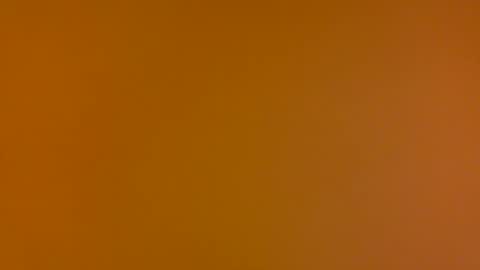 Poprigyn53535 online show from September 2025 08:57:01 AM