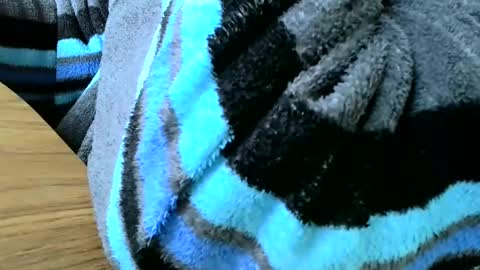 Snapshot of poshman65 chatting on February 2025 12:48:02 PM poshman65 online show from February 2025 12:48:02 PM