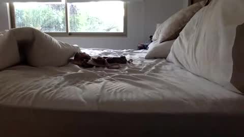 ppsmall_17 online show from March 2026 11:10:01 AM