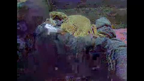 Snapshot of precious_nesh chatting on May 2026 07:15:02 AM precious_nesh online show from May 2026 07:15:02 AM