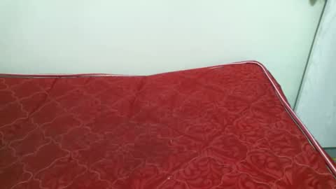 Snapshot of preshty chatting on November 2025 04:06:01 PM preshty online show from November 2025 04:06:01 PM