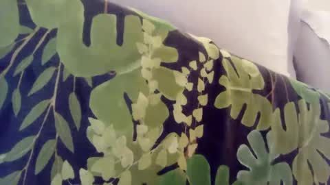 pretty_boy_jack online show from January 2025 01:00:02 AM