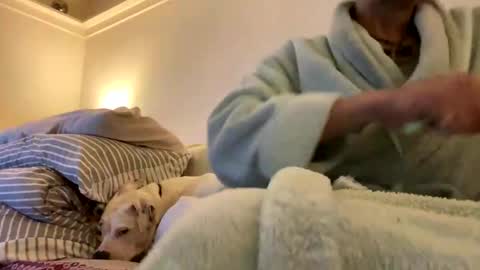 pretty_boy_jack online show from February 2025 02:47:01 AM