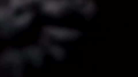 pretty_boy_jack online show from February 2025 10:52:01 AM