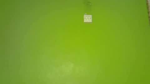 pretty_g2 online show from December 2025 05:01:01 AM