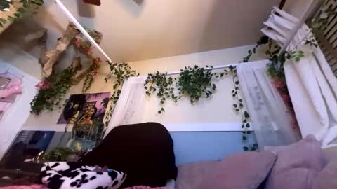 Snapshot of prettyblackgal chatting on November 2025 07:43:01 AM prettyblackgal online show from November 2025 07:43:01 AM