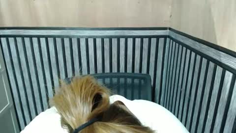 Kate online show from October 2025 07:00:01 PM