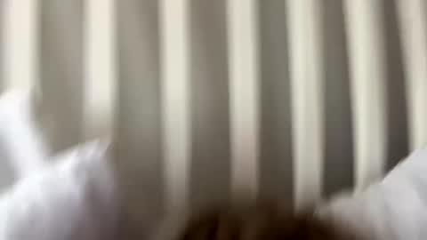 Snapshot of prettypxssyyy chatting on September 2025 08:36:02 PM Prettiestpussy online show from September 2025 08:36:02 PM