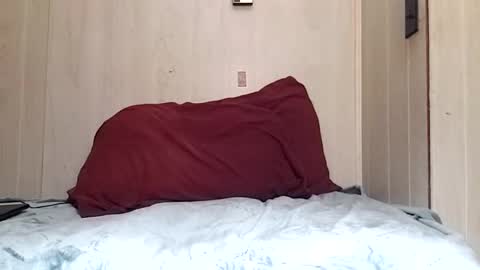 Snapshot of prettysolidd7 chatting on December 2024 08:52:01 AM prettysolidd7 online show from December 2024 08:52:01 AM