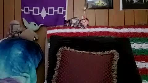 Snapshot of prettysolidd7 chatting on January 2025 06:09:01 AM prettysolidd7 online show from January 2025 06:09:01 AM