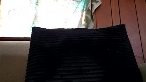 Snapshot of prettysolidd7 chatting on February 2025 12:54:01 PM prettysolidd7 online show from February 2025 12:54:01 PM