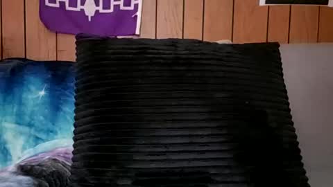 Snapshot of prettysolidd7 chatting on February 2025 11:21:02 AM prettysolidd7 online show from February 2025 11:21:02 AM